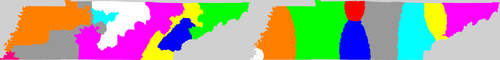 TN current and proposed districting