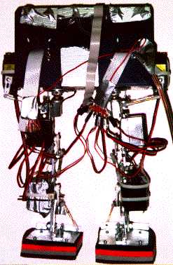 the back side of my wonderful robot