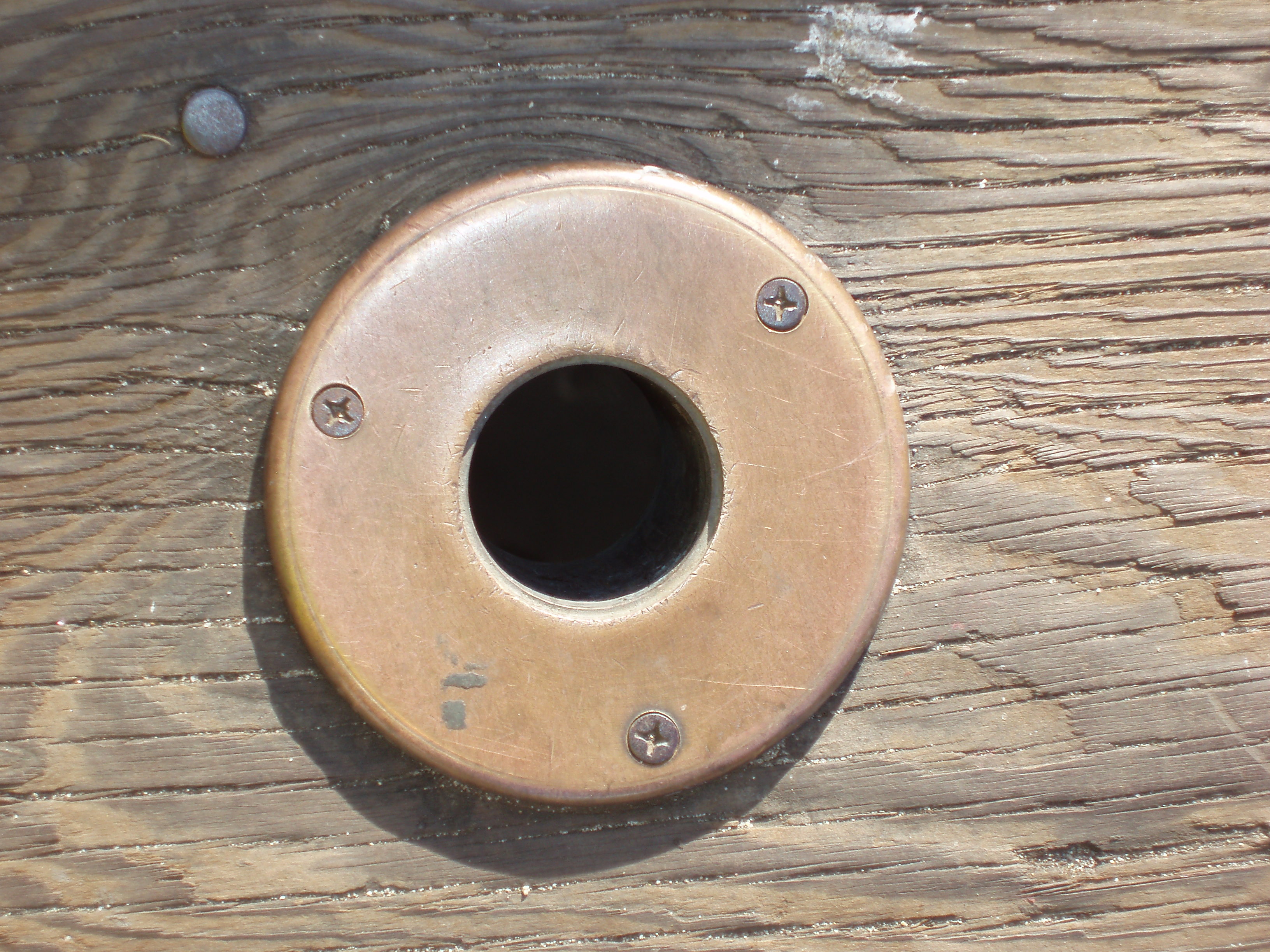 P3080032.JPG