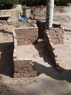 P3080005.JPG