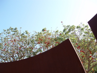 P3080014.JPG